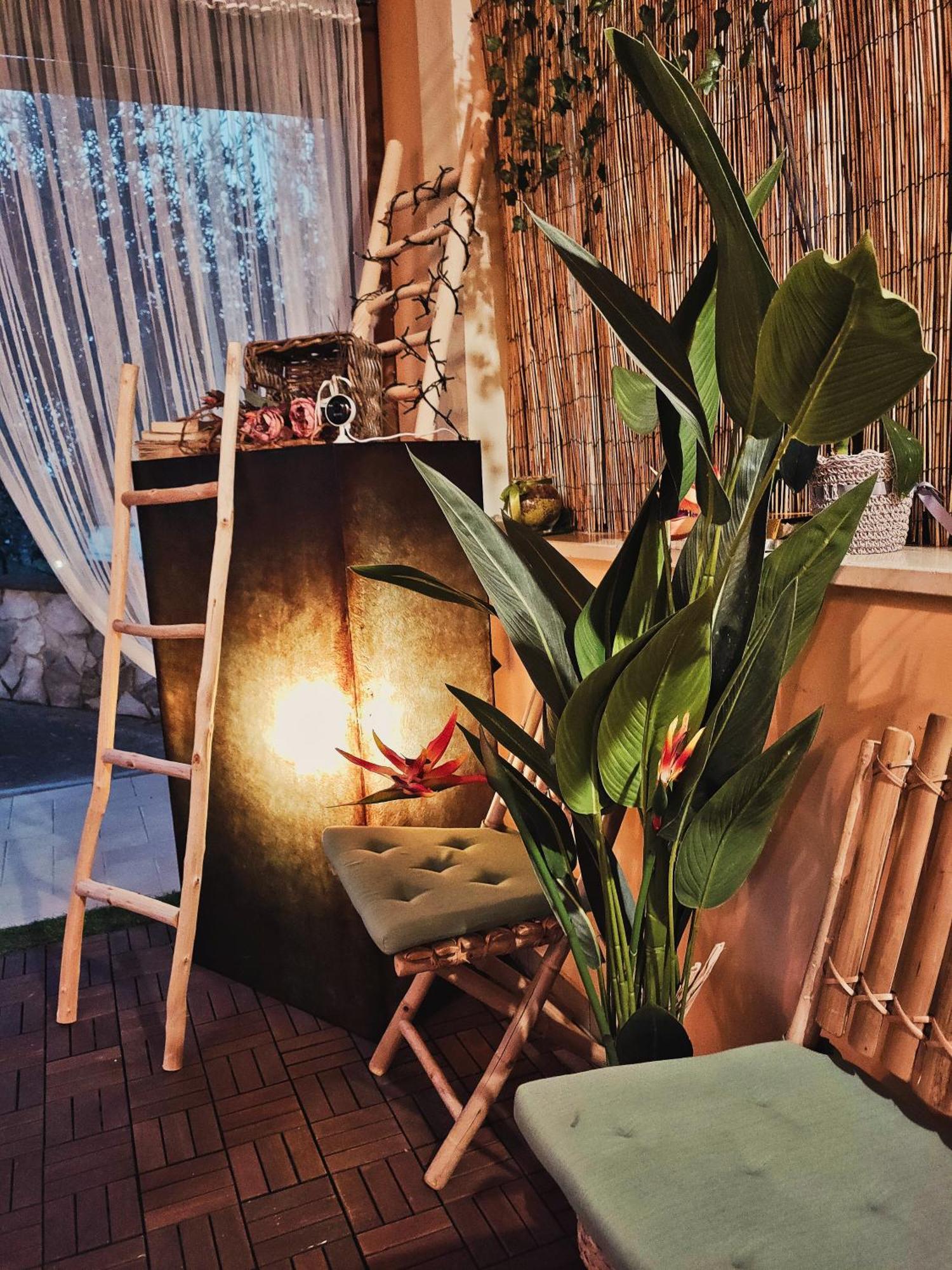 Favola Exclusive B&B 佩斯卡拉 外观 照片